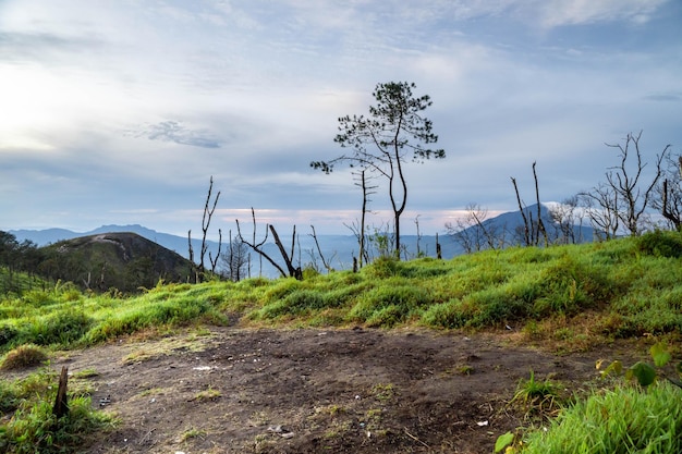 Scenario naturale in cima alla montagna