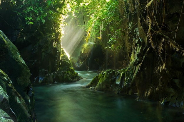 Scenario naturale indonesiano con una bellissima cascata nel mezzo di una foresta tropicale