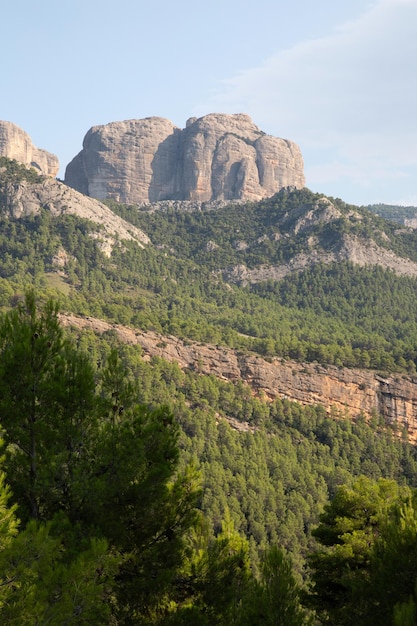 Scenario nel Parco Nazionale dei Porti Tarragona Spagna