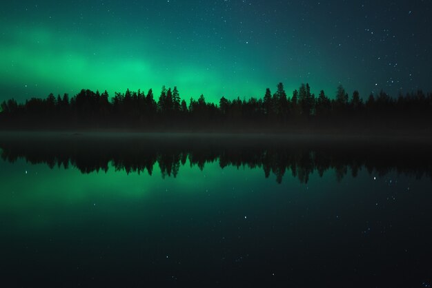 Scenario notturno. Aurora boreale riflessa in un lago della foresta