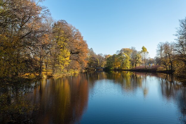 Scenario tranquillo con un bellissimo parco autunnale con alberi dorati e i loro riflessi in un lago.