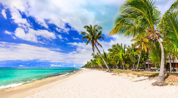 Scenario tropicale della spiaggia - bellissima isola di Mauritius