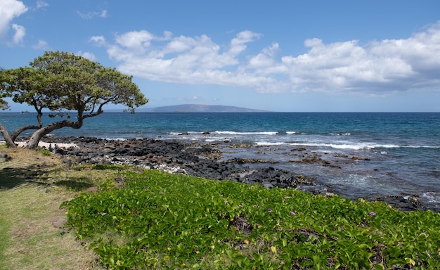 Scenic paesaggio hawaiano Scene Beach sull'isola di Maui Hawaii