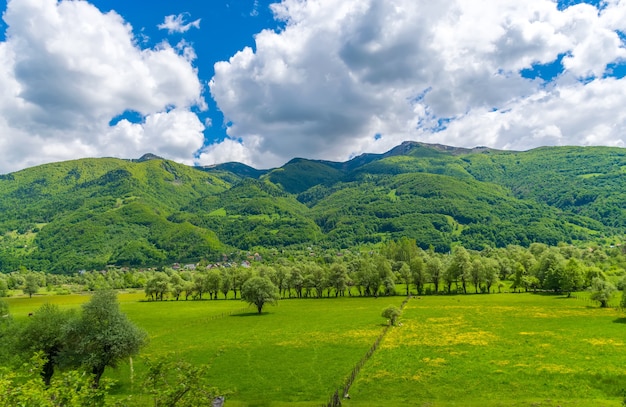 Scenic prato verde tra le alte rocce innevate