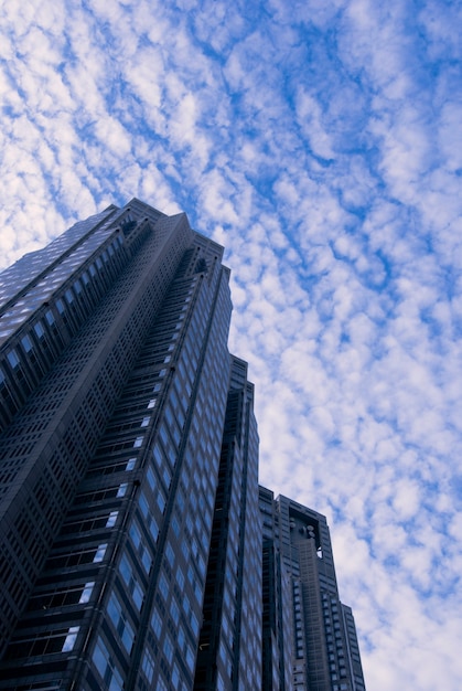 Scenic sky over Tokyo City Hall edificio nel quartiere di Shinjuku, Giappone