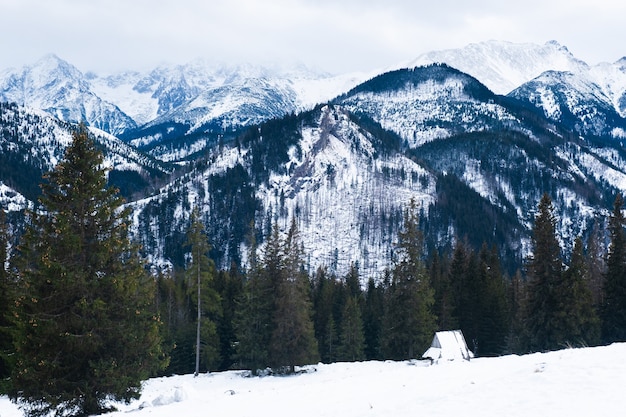 Scenico del paesaggio montano innevato in una giornata nuvolosa nei monti tatra invernali