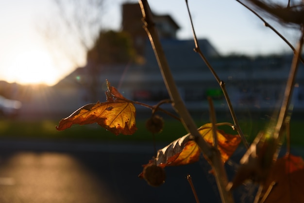 Scenze urbane in autunno.