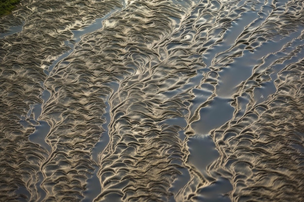 Schemi frattali sulla superficie di un fiume con increspature e correnti visibili