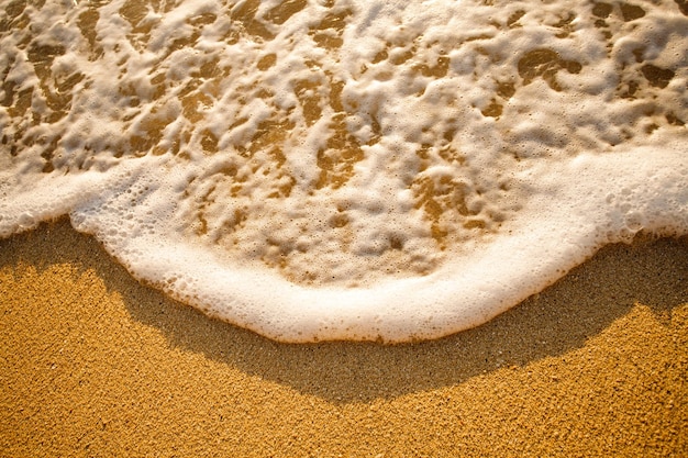 Schiuma dell'oceano sulla spiaggia