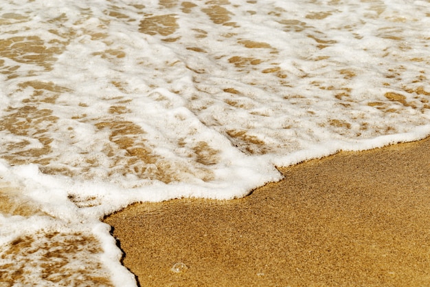 Schiuma di mare sulla sabbia