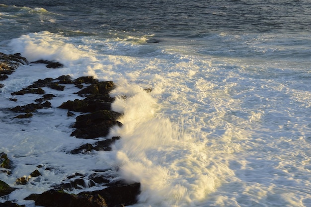 Schiuma di mare tra le rocce della costa oceanica Antofagasta Cile