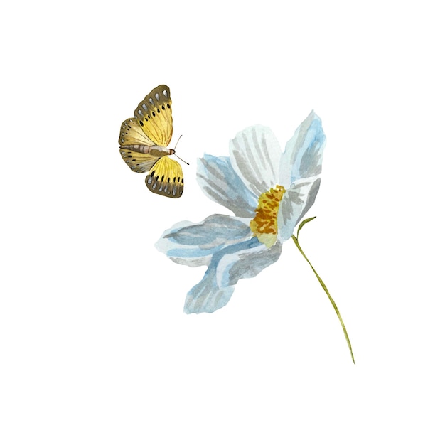 Schizzo del fiore giallo della farfalla della camomilla della margherita. Un'illustrazione ad acquerello. Trama disegnata a mano.