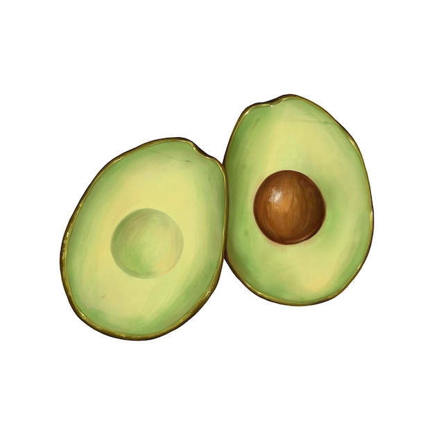 Schizzo di avocado, illustrazione raster, isolato