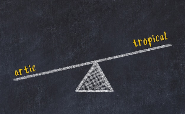 Schizzo di lavagna di scale. Concetto di equilibrio tra tropicale e artico