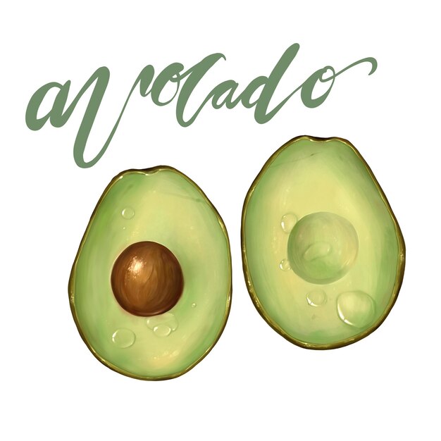 Schizzo e scritte di avocado, illustrazione raster, isolato su bianco