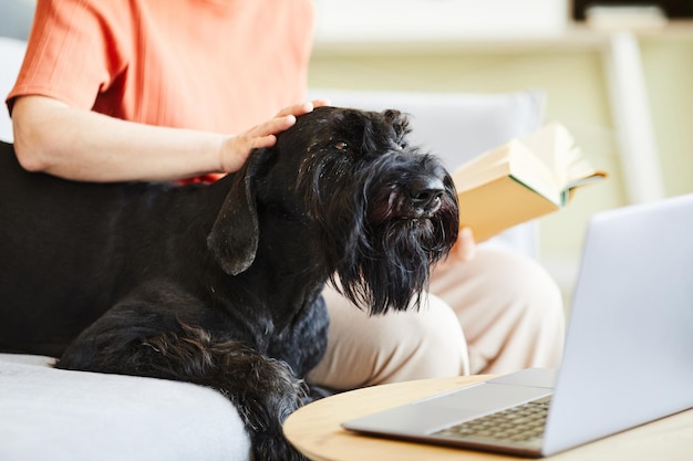 Schnauzer nero seduto sul divano insieme al suo proprietario mentre legge un libro e accarezza il suo cane