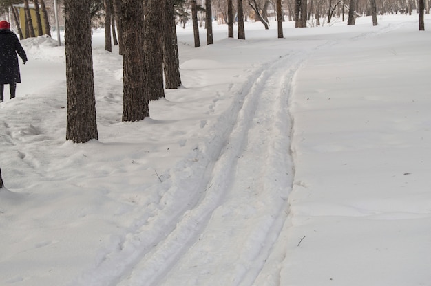 Sciare sulla neve fresca in inverno Parco tra gli alberi, la gente cammina lungo la pista da sci, attività invernali all'aperto