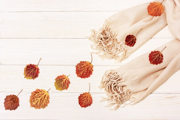 Sciarpa beige e foglie rosse naturali dell'albero di tremula