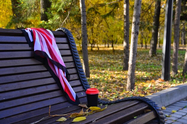 sciarpa da donna sul retro della panca e tazza di caffè nel parco pubblico