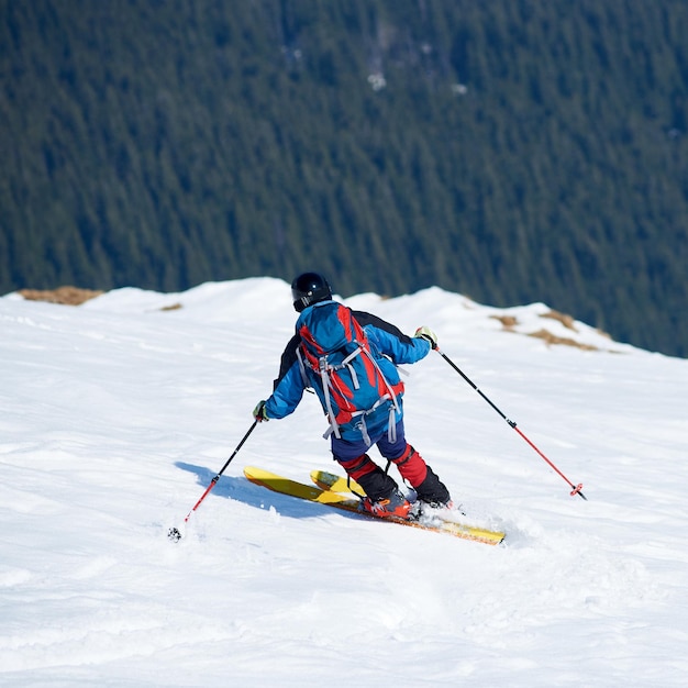 Sciatore professionista che guida gli sci su neve bianca e sfondo di abeti Concetto di vacanze invernali