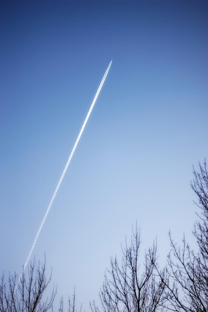 Scie di condensazione di aeroplani a reazione sopra alberi spogli contro uno sfondo di cielo azzurro con copyspace Vista di un aereo passeggeri distante che vola ad alta quota lasciando dietro di sé una lunga scia di fumo bianco