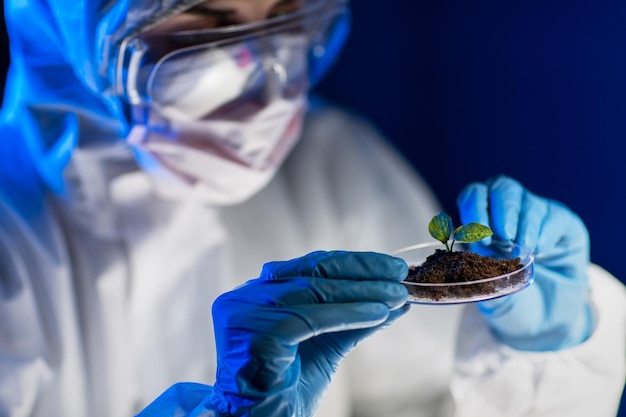 scienza, biologia, ecologia, ricerca e concetto di persone - primo piano di una giovane scienziata che tiene una capsula di Petri con un campione di piante e suolo in laboratorio biologico