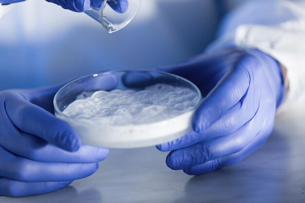 Scienza, chimica e concetto di persone - primo piano delle mani degli scienziati con vetro e polvere chimica nella capsula di Petri che fanno test o ricerca in laboratorio