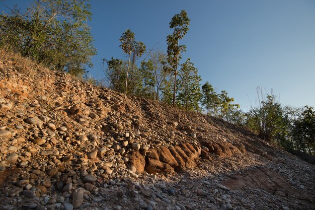 Scienze geologiche