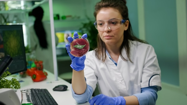 Scienziata che guarda la carne di manzo vegana per l'analisi del ricercatore chimico dell'esperimento di biochimica