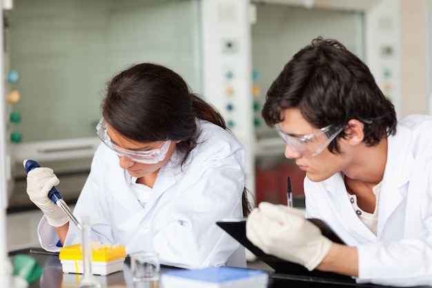 Scienziati concentrati che lavorano