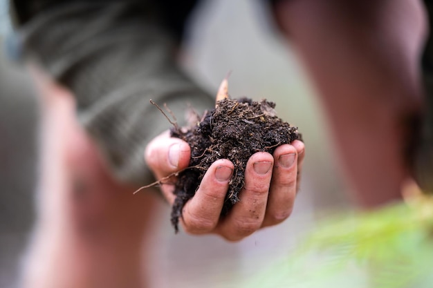 scienziato australiano del suolo agricoltore biologico rigenerativo che prende campioni di suolo e osserva la crescita delle piante in una fattoria che pratica l'agricoltura sostenibile
