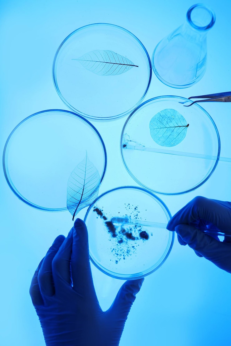 Foto scienziato che lavora con capsule petri in laboratorio
