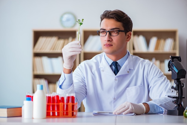 Scienziato di biotecnologia che lavora in laboratorio