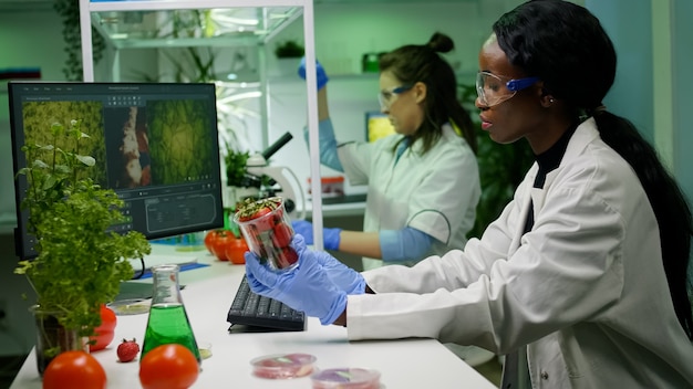 Scienziato farmaceutico che osserva l'iniezione di fragole con pesticidi mentre digita competenze di biologia sul computer