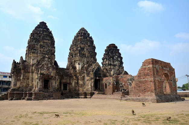 Scimmia che cammina all'antico e rovine della costruzione di Phra Prang Sam Yod il 23 febbraio 2016 a Lopburi Thailandia