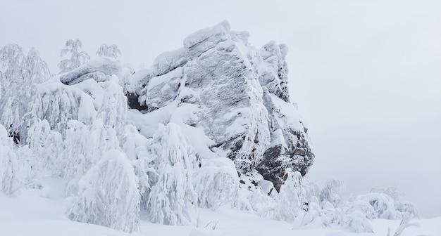 Scogliera congelata e alberi con rami coperti di rime dopo la bufera di neve sul passo di montagna in inverno