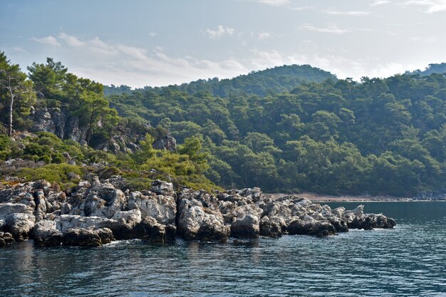 Scogliere e alberi sulla costa del mare