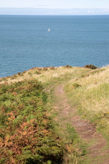 Scogliere e isola a Llanbadrig Cemaes, Anglesey, Galles, Regno Unito