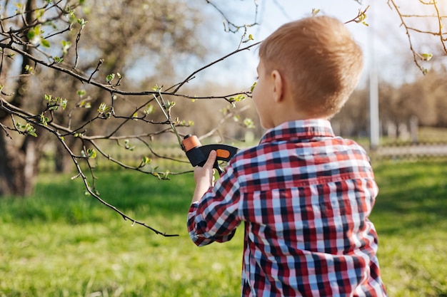 Scolaro che indossa la camicia a quadri facendo lavori di manutenzione potando gli alberi con le cesoie