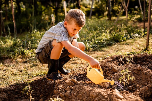 Scolaro che innaffia le piante di pomodoro nel giardino