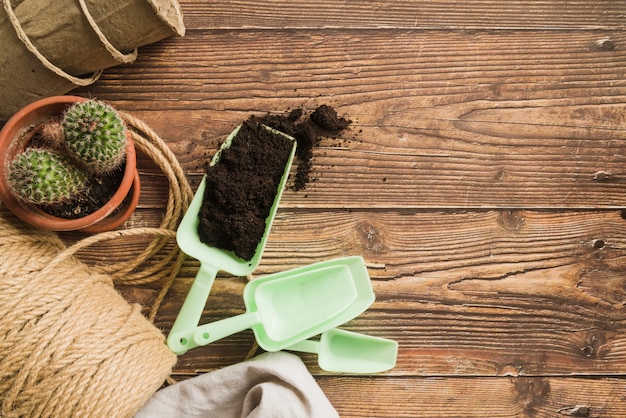 Scoop di plastica con terreno; pianta di cactus; vasi di corda e torba sulla tavola di legno