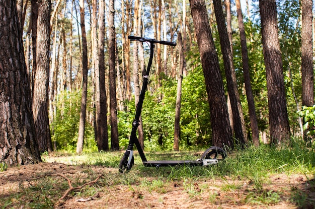 Scooter per adulti in una pineta