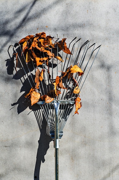 Scopa autunnale con foglie rosse stagionali giardinaggio backgrou