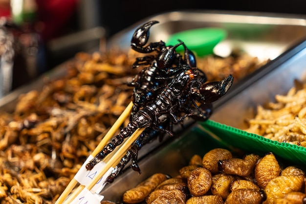 Scorpione essiccato su un bastone di legno Spuntino tailandese esotico di cibo di strada