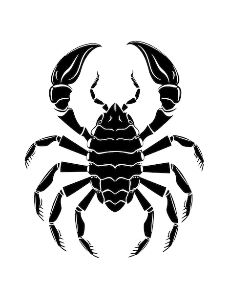 scorpione zodiaco oroscopo astrologia dodici settori metafisici