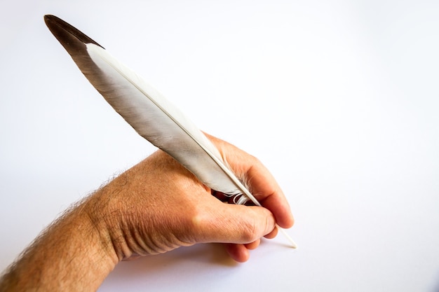 Scrittura a mano con una piuma di uccello isolata su sfondo bianco