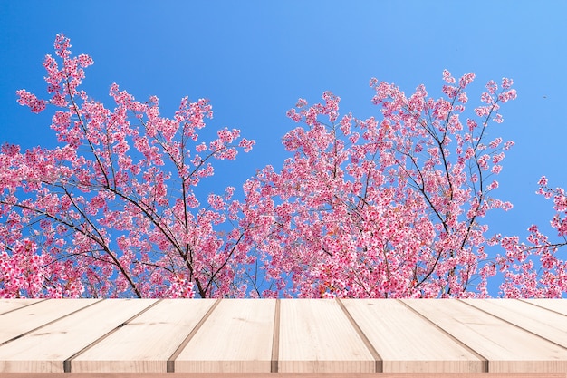 Scrivania in legno o pavimento in legno per esposizione di prodotti con sfondo rosa Sakura