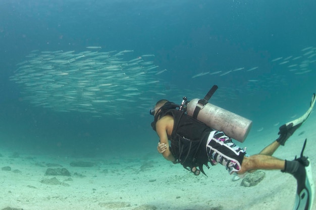 Scuba mentre vai all'interno della scuola di pesce barracuda nella barriera corallina e nel mare blu