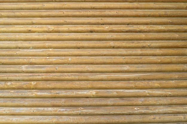 Scudo con un gran numero di trama di tronchi di legno paralleli