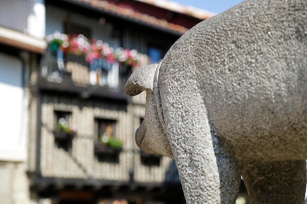 Scultura che rende omaggio al maiale iberico situata a La Alberca Castilla y Leon in Spagna